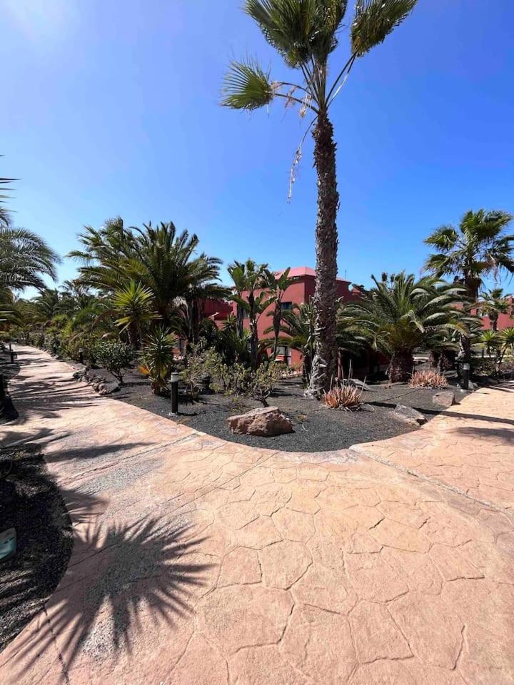 Sun & Sea Apartment In Corralejo Bagian luar foto