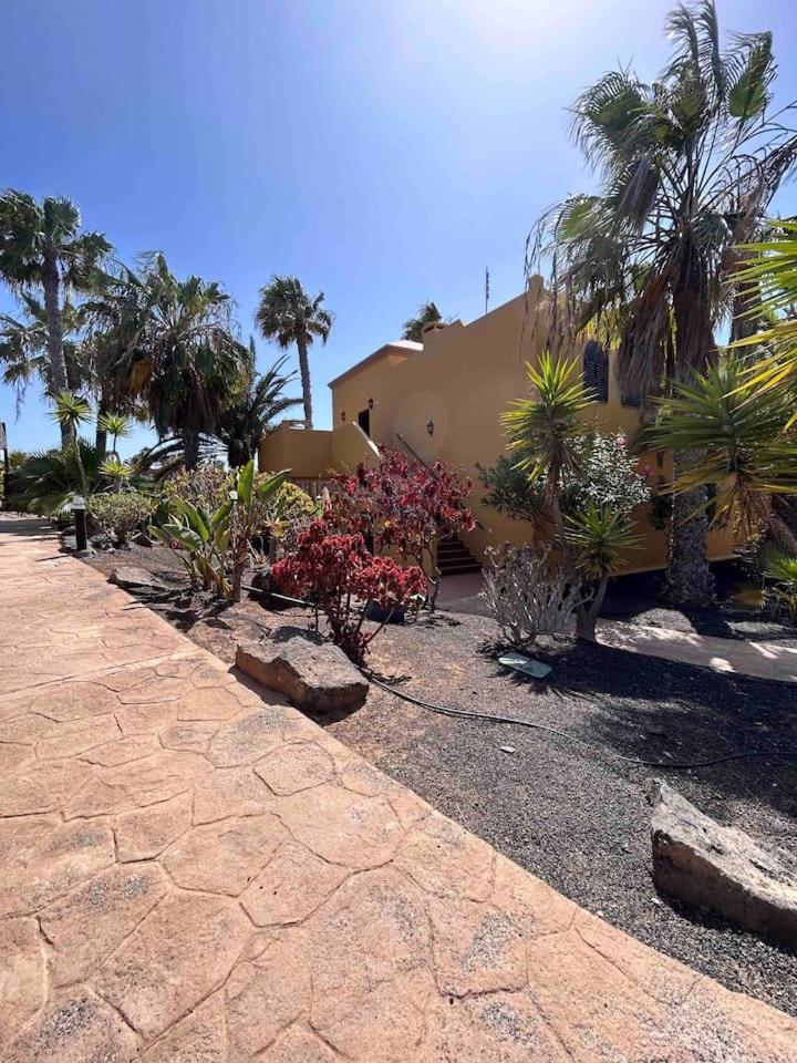 Sun & Sea Apartment In Corralejo Bagian luar foto